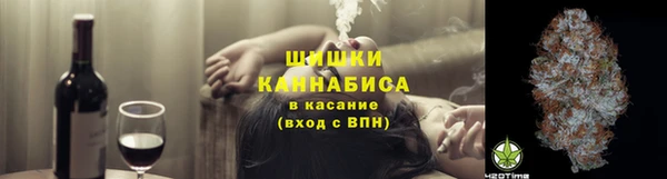 твердый Арсеньев