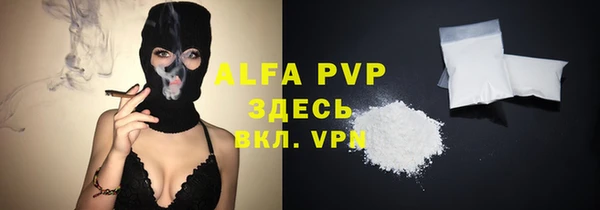твердый Арсеньев