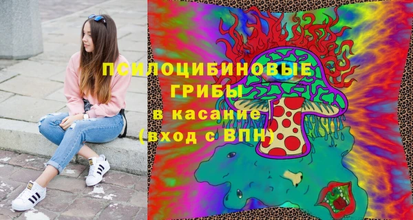 твердый Арсеньев