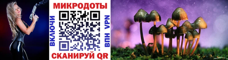 Псилоцибиновые грибы Psilocybine cubensis  Светлоград 